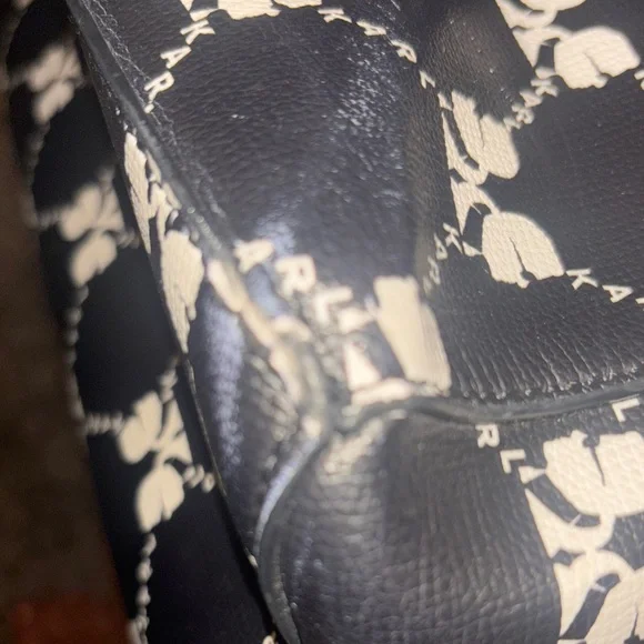 Karl Lagerfeld tote style - Picture 9 of 14